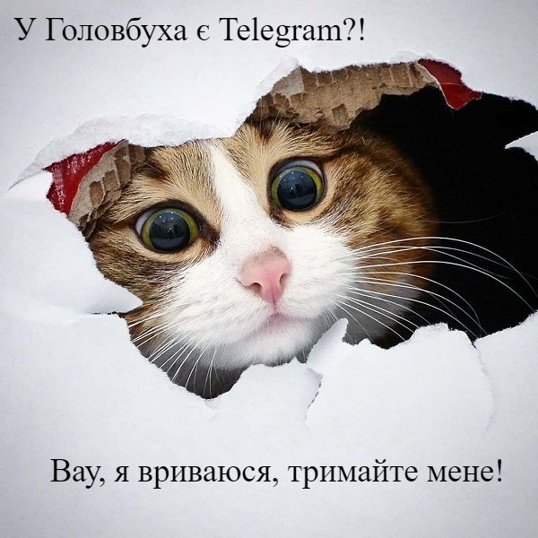 Головбух у Telegram Головбух у Telegram