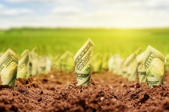 Держгеокадастр готується до старту обігу сільгоспземель Держгеокадастр готується до старту обігу сільгоспземель