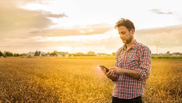 Чи може ФОП набути у власність сільгоспділянку власність сільгоспділянки