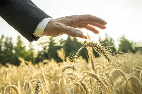 Держава фінансово підтримуватиме фермерські господарства: прийнято Закон Держава фінансово підтримуватиме фермерські господарства: прийнято Закон