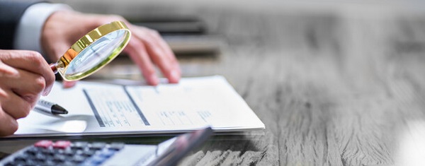 Перевірки ДПС щодо дотримання працедавцем законодавства про працю: що перевіряють Перевірки ДПС