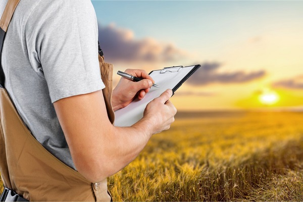 Мінфін розробив нові правила визначення КО з зерновими та олійними культурами, нафто та металопродуктами сировинні товари