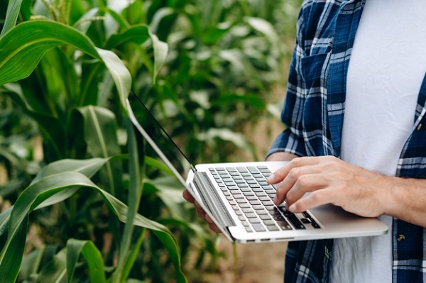 Для сільгоспземель, які обробляють незаконно, введуть мінімальне податкове зобов’язання Для сільгоспземель, які обробляють незаконно, введуть мінімальне податкове зобов’язання