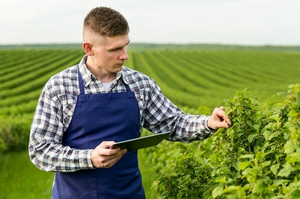 Фізособа отримала ділянку для ведення фермерського господарства: хто сплачує земподаток Фізособа отримала ділянку для ведення фермерського господарства: хто сплачує земподаток
