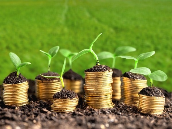 Юрособа-єдинник 3 групи тимчасово припинив діяльність: чи повинен сплачувати земельний податок Юрособа-єдинник 3 групи тимчасово припинив діяльність: чи повинен сплачувати земельний податок