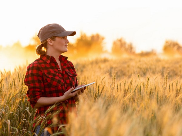 ФАО виділить 17 млн дол. на допомогу українським фермерам ФАО виділить 17 млн дол. на допомогу українським фермерам