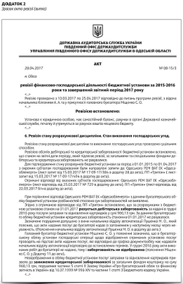 Зразок акта ревізії (витяг) Зразок акта ревізії (витяг)