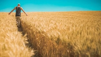 Нова грошова оцінка землі: як подати зміни, коли витяг з певних причин отримати не можна Нова грошова оцінка землі: як подати зміни, коли витяг з певних причин отримати не можна