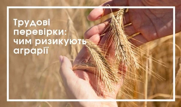 Трудові перевірки: чим ризикують аграрії (1 година)