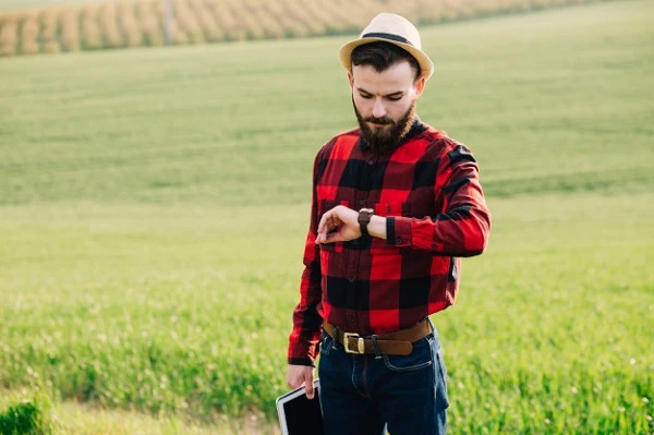 Аграрні розписки в Україні: прогнози розвитку Аграрні розписки в Україні: прогнози розвитку