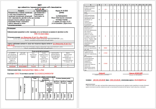 Звіт про зайнятість і працевлаштування інвалідів 2020 Із 12.02.2021 Звіт № 10-ПОІ про зайнятість і працевлаштування інвалідів подавайте за новою формою