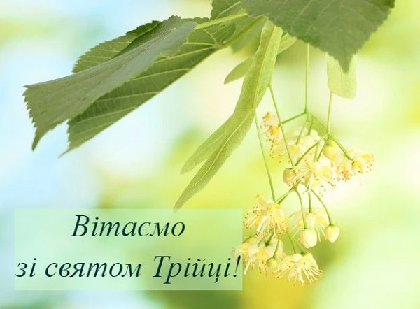 Із Зеленими святами! Із Зеленими святами!