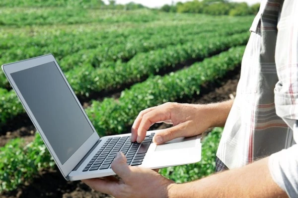 Ринок землі: які документи підтверджують законність походження коштів Ринок землі