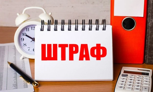Прийнято судове рішення: в який термін сплатити суму податкового донарахування пеня та штрафні санкції
