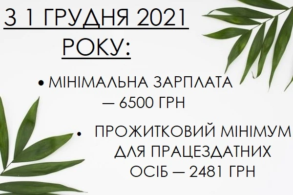 Мінімальна зарплата в 2021 році Мінімальна зарплата 2021