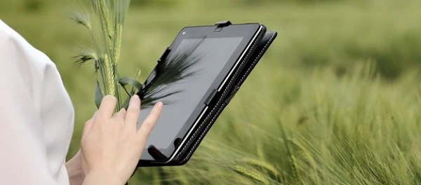 Що є об’єктом та базою оподаткування для єдинників 4 групи Що є об’єктом та базою оподаткування для єдинників 4 групи