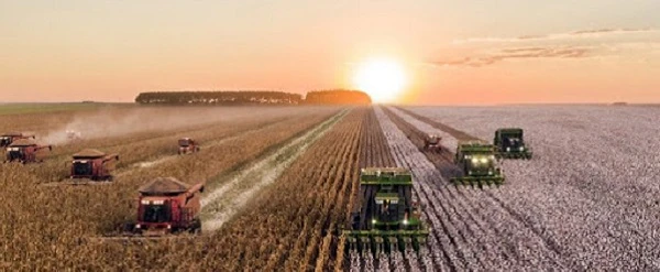 Сільгосптоваровиробники отримають 146,4 млн грн за програмою здешевлення сільськогосподарської техніки Сільгосптоваровиробники отримають 146,4 млн грн за програмою здешевлення сільськогосподарської техніки