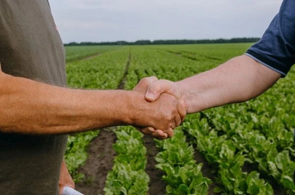 Замість держреєстрації прав — держреєстрація договорів оренди землі Замість держреєстрації прав — держреєстрація договорів оренди землі