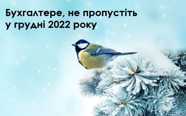 Що бухгалтеру не можна пропустити в грудні golovne-12-2022.jpg