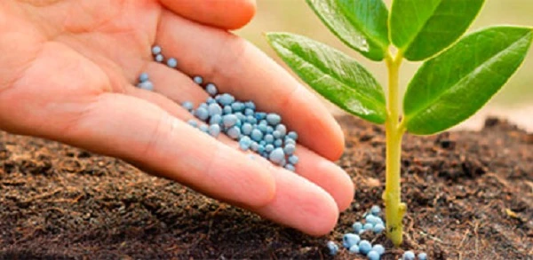 На період війни спростили реєстрацію пестицидів На період війни спростили реєстрацію пестицидів