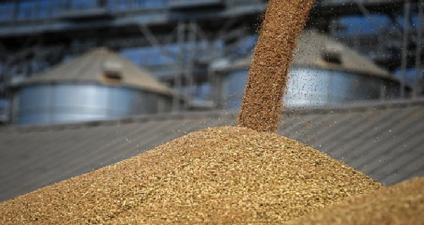 Україна отримає від партнерів потужності для зберігання зерна Україна отримає від партнерів потужності для зберігання зерна