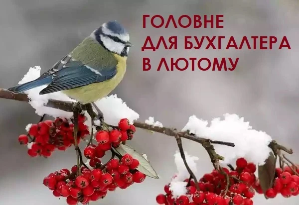 Не пропустіть у лютому! Головне для бухгалтера у лютому 2023 року