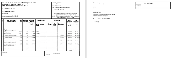 Штатний розпис медичного КНП зразок