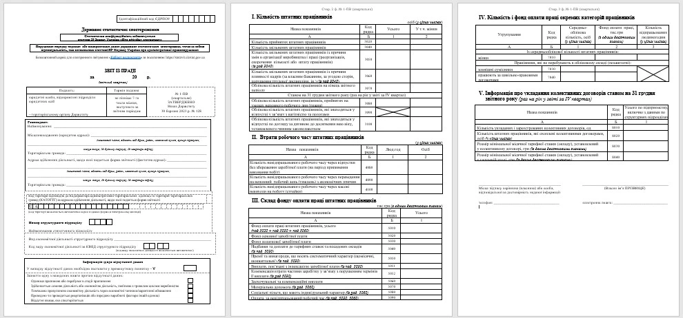 Звіт із праці (форма 1-ПВ) 2024