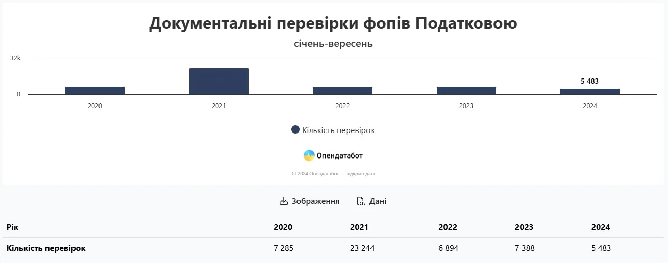 Статистика податкових перевірок ФОП за 9 місяців 2024 року: скільки штрафів нарахувала ДПС