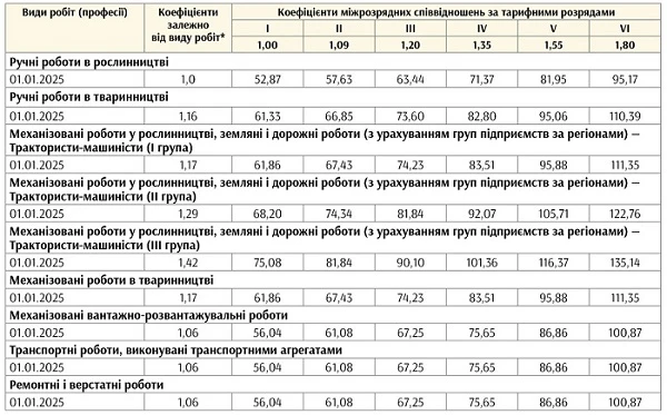 Мінімальні годинні тарифні ставки у 2025 році
