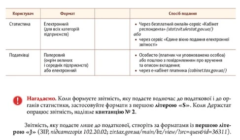 Формат подання фінзвітності