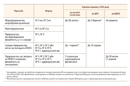 Строки подання річної фінзвітності за 2024 рік