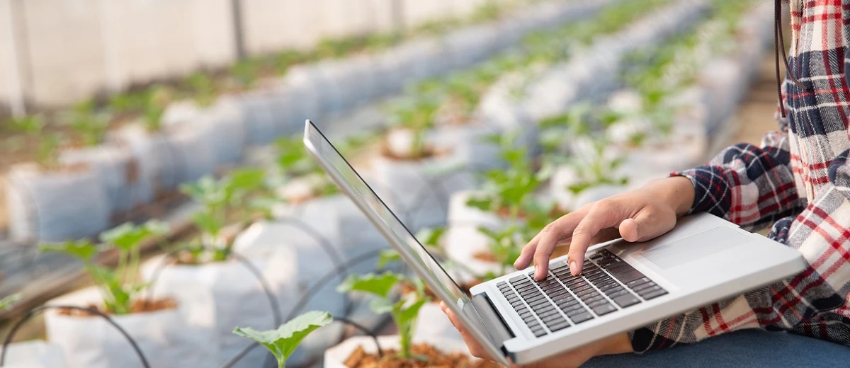 Мінагрополітики впроваджує чергову електронну систему