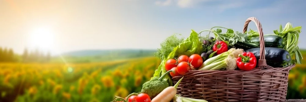 Мінагрополітики оновило критерії важливості підприємств у сільському господарстві 