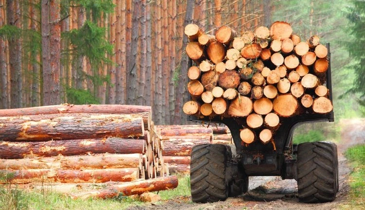 Бізнес закликає ухвалити в цілому Закон про ринок деревини