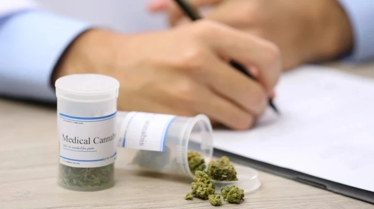 З 10 березня Мінагрополітики запустило електронну систему єКоноплі