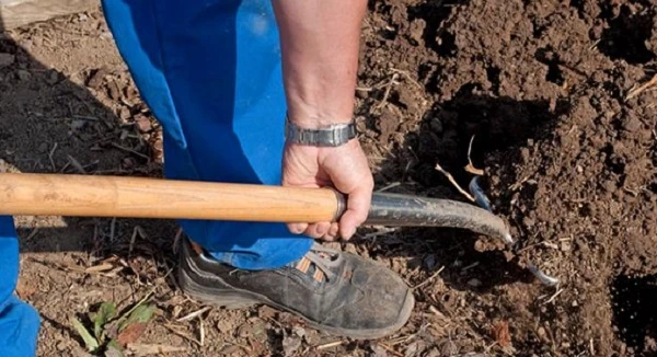 Працівників залучили до трудової повинності або суспільно корисних робіт: як їх оформлювати Працівників залучили до трудової повинності або суспільно корисних робіт: як їх оформлювати