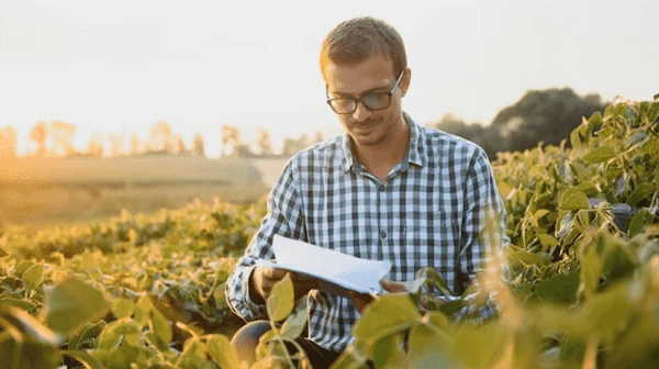 Як підтвердити статус платника єдиного податку четвертої групи