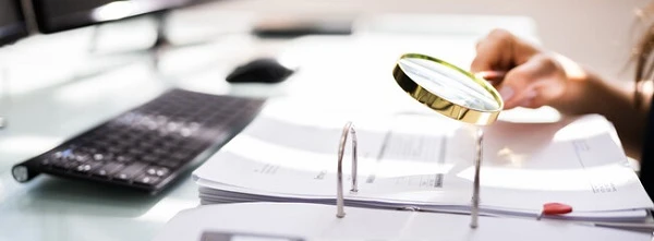 ❗ ДПС оновила план перевірок на 2025 рік