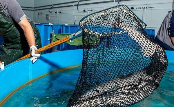 Затвердили уніфіковану форму акту перевірки у сфері промислового вилову водних біоресурсів