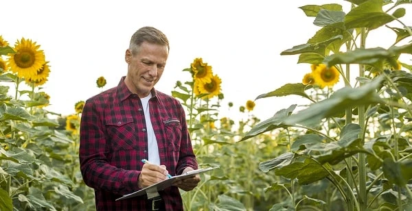 Умови невизнання податкового кредиту з ПДВ у с/г товаровиробників: рішення ВС