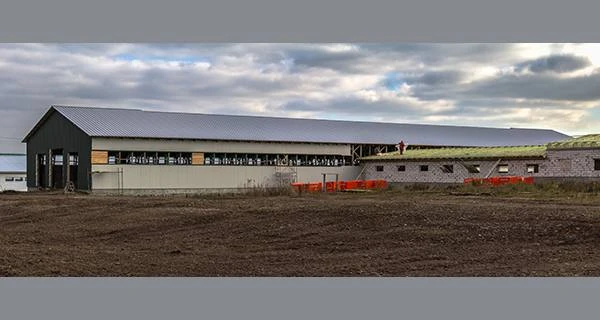 Розширено напрями держпідтримки галузі тваринництва у 2020 році Розширено напрями держпідтримки галузі тваринництва у 2020 році