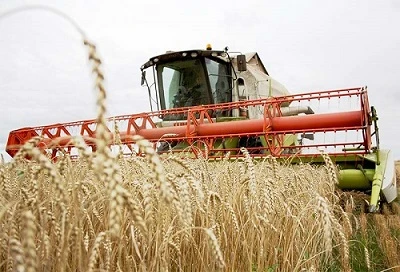 Виробникам СГ-продукції: зміни в законодавстві Виробникам СГ-продукції: зміни в законодавстві