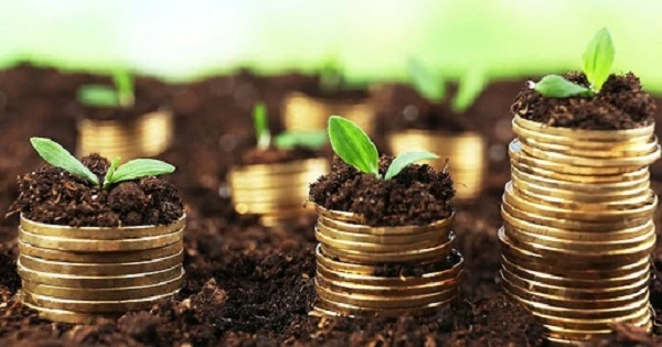 Для отримання пільги щодо сплати земельного податку подайте заяву